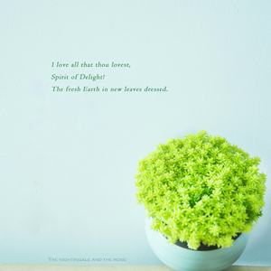 亚洲精品㊙️一区二区巨
