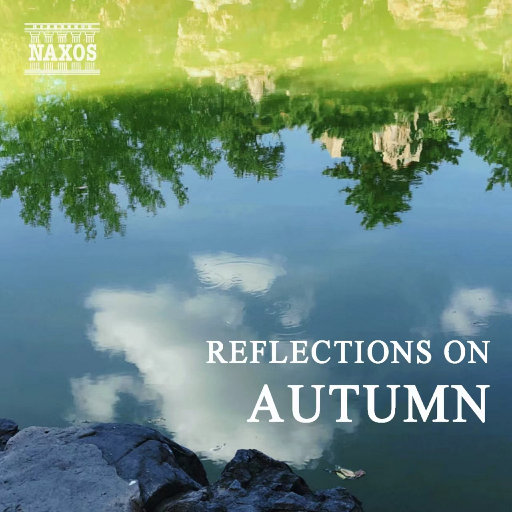 亚洲精品㊙️一区二区巨
